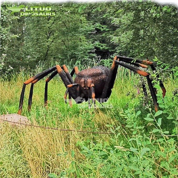 4Insect Spider(001)