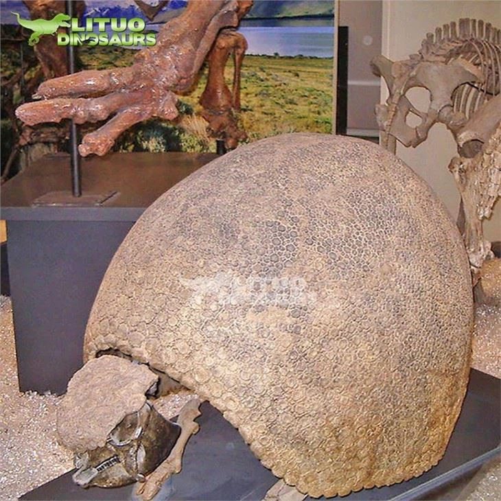 3Ice Age Animal Skeleton Glyptodon(001)
