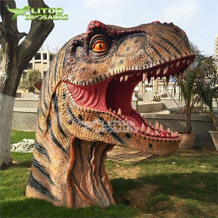 2Dinosaur T Rex Head for Photographs(001)