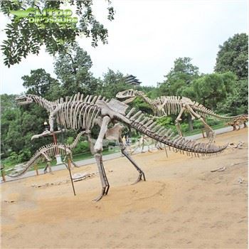 Hadrosaurus csontváz