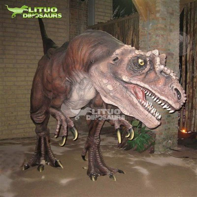 Beltéri játszótér, dinoszaurusz